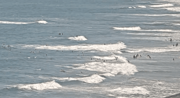 Communing with Mother Nature SoCal style with year-round waves for all to enjoy!