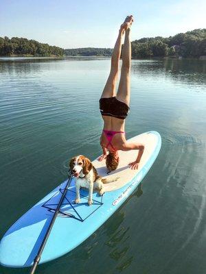 Paddleboards are a water craft that many enjoy at Innsbrook - even our four legged friends like them.