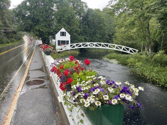 Flowers & Bridge in the Rain