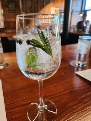 Spanish Gin and Tonic