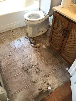 Bathroom condition after item removal.