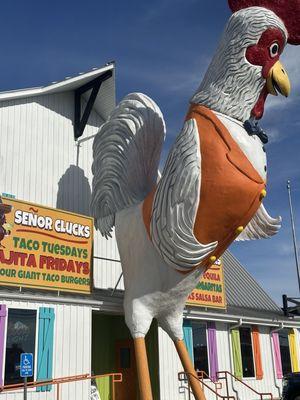 Senor Cluck!!!