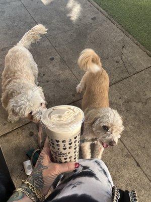 Delicious and satisfying 24 oz. Brilliance Smoothie from my favorite spot on Tujunga in Studio City Kreation Cafe