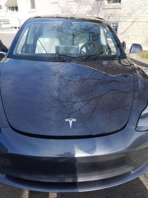 2020 tesla model 3 new windshield