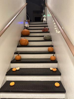 Many different shaped pumpkins