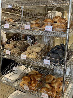 Poppy Bagels