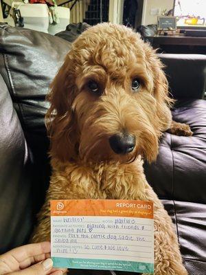 Wrigley's Report Card