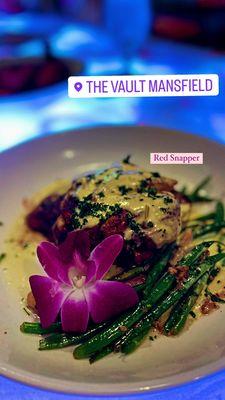 Red Snapper