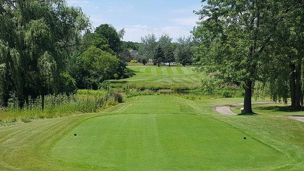 Flushing Valley has the feel and layout of an old-school private club; tree-lined fairways, small greens that require a deft touch.