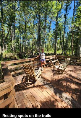 Cedar wood benches to overlook the wetlands