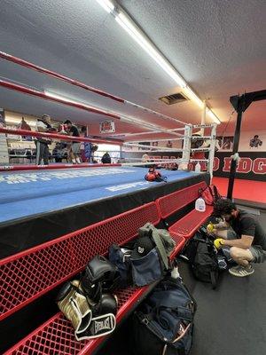 Boxing Ring and Mats