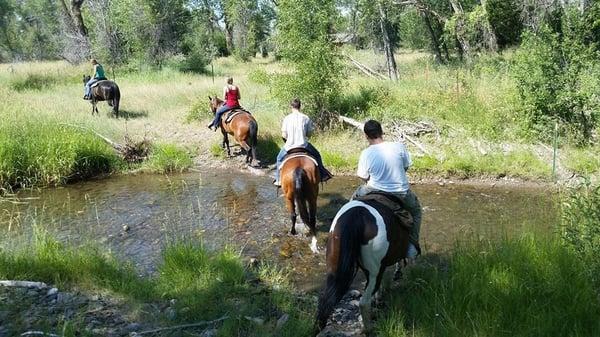 2hr Trail ride