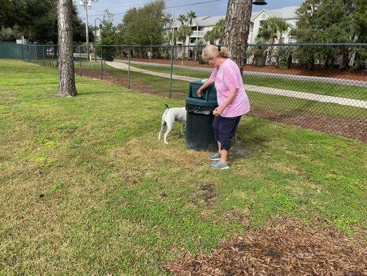 Picking up Poop.