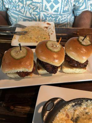 Nashville Sliders