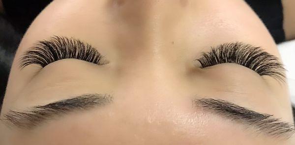 3d lash