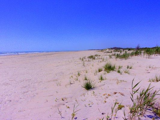 The beautiful ocean beach