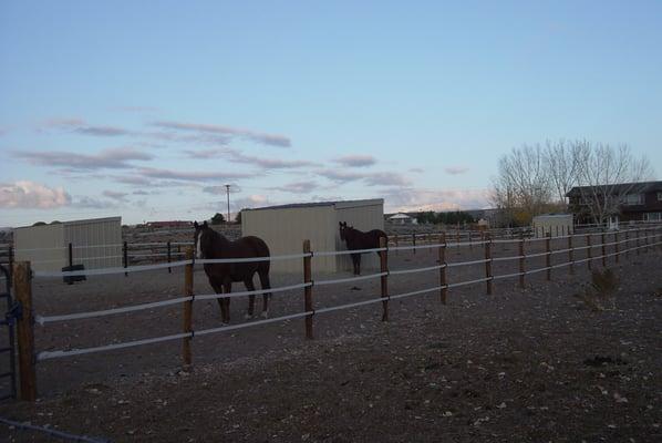 Private paddocks have runs that are 150' long with shelters and heated waterers.