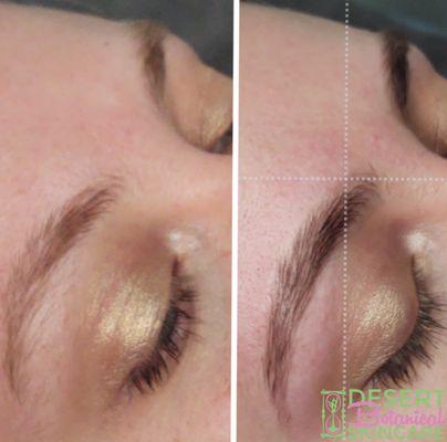 Brow Tint and Wax