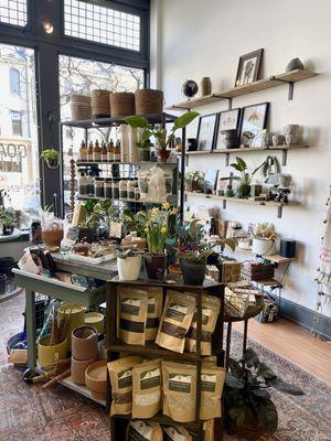 Plants, Plant Care & Accessories.