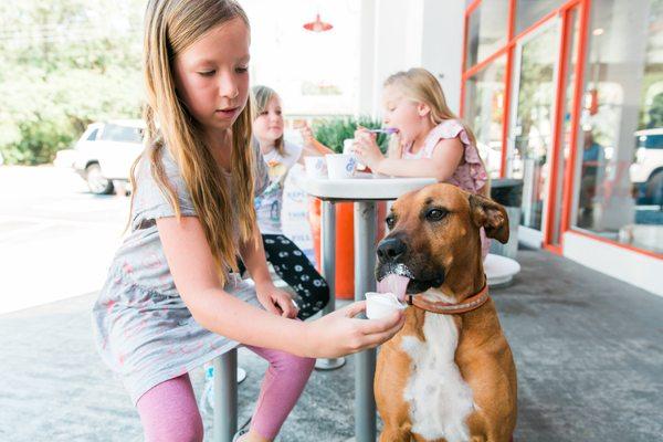 Bring your dog to our patio- free pup cups available upon request daily!