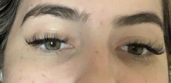 My lashes right after my first fill - Classic single extensions