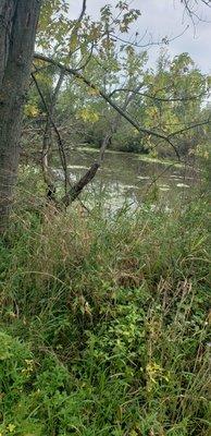 Tamarack Nature Preserve