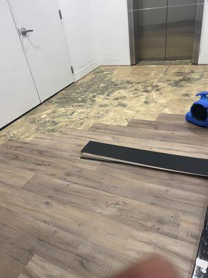 Vinyl flooring