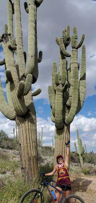 Wild Bunch Desert Guides