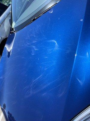 Chamois Car Wash Detail Service paint damage