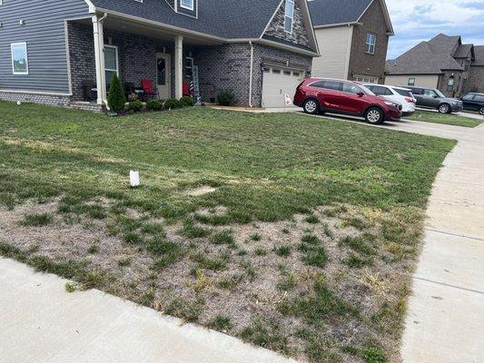 Our yard (that lawn doctor "cares for") vs our neighbor's lawn