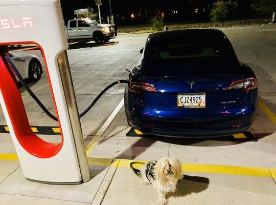 8 New Tesla supercharging stations  at the Valero 5R in Deming, New Mexico.  I'm charging at 3A - 136KW Nice.