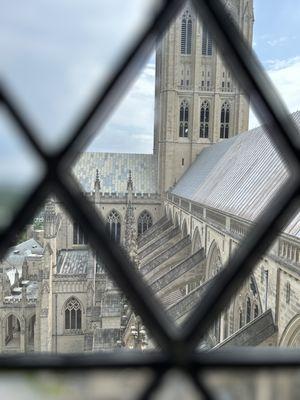 View from the observation tower