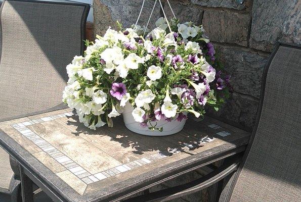 Summer flowering basket