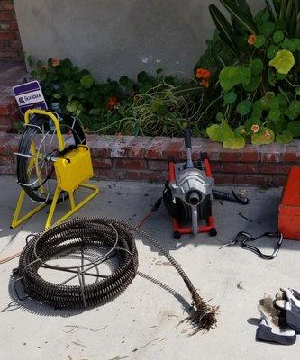 Clearing Roots From Drain With Cable & Camera