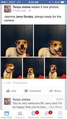 Jasmine enjoying her photo shoot at Country Kennels