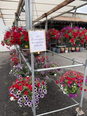 Pleasant Valley Greenhouses