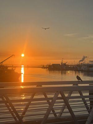 Sunrise morning in Anacortes