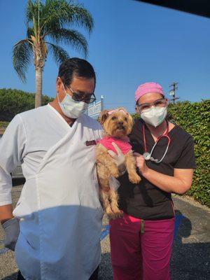 Centinela Animal Hospital