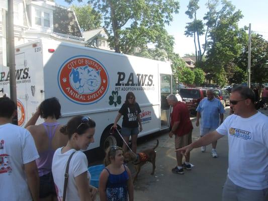 The dog adoption promotion station, complete with doggy swimming pool.