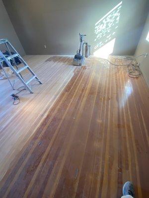 Sanding floor #1