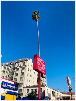 Welcome to American Tire Centers. #HollywoodBlvd