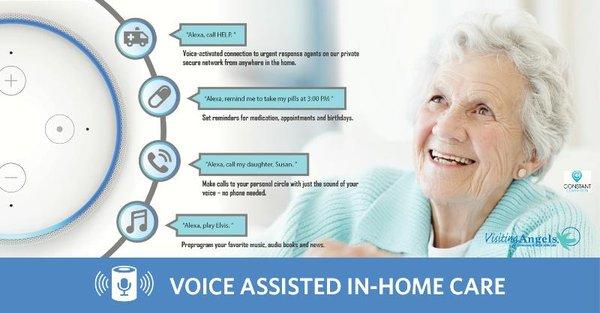 Voice Assisted In-Home Care