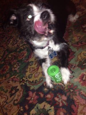 Oliver is loving his new treat toy from Wally Pets.  Thanks!!