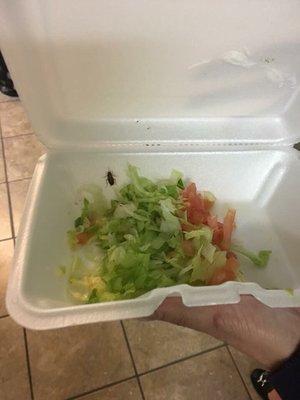 My food had a live roach in the container...