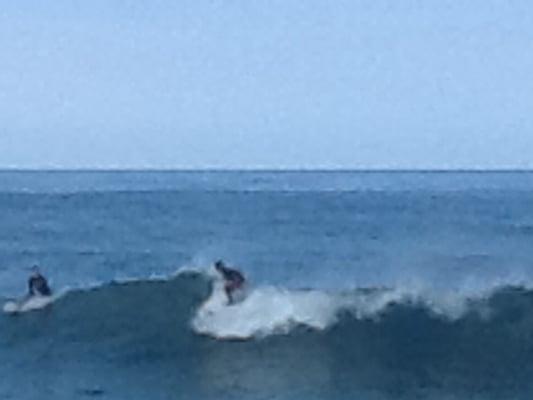 Surfing is Hawaii 's favorite sport, 
  Maritza Macy McCrea, my acupuncturist 
  has helped maintain my health and enjoy the waves!