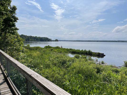 Excellent view of Belmont Bay