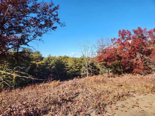 Beautiful trails throughout the Preserve