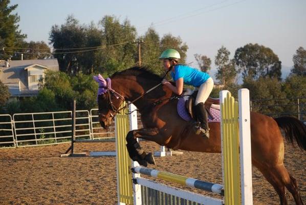 Training and riding lessons for riders of all ages and levels avail at Sand Bar Ranch