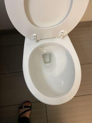 Poop stain in the toilet