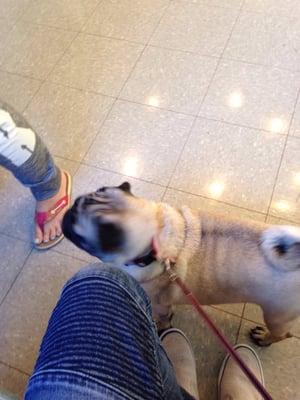 Pugalina waiting to see the doctor